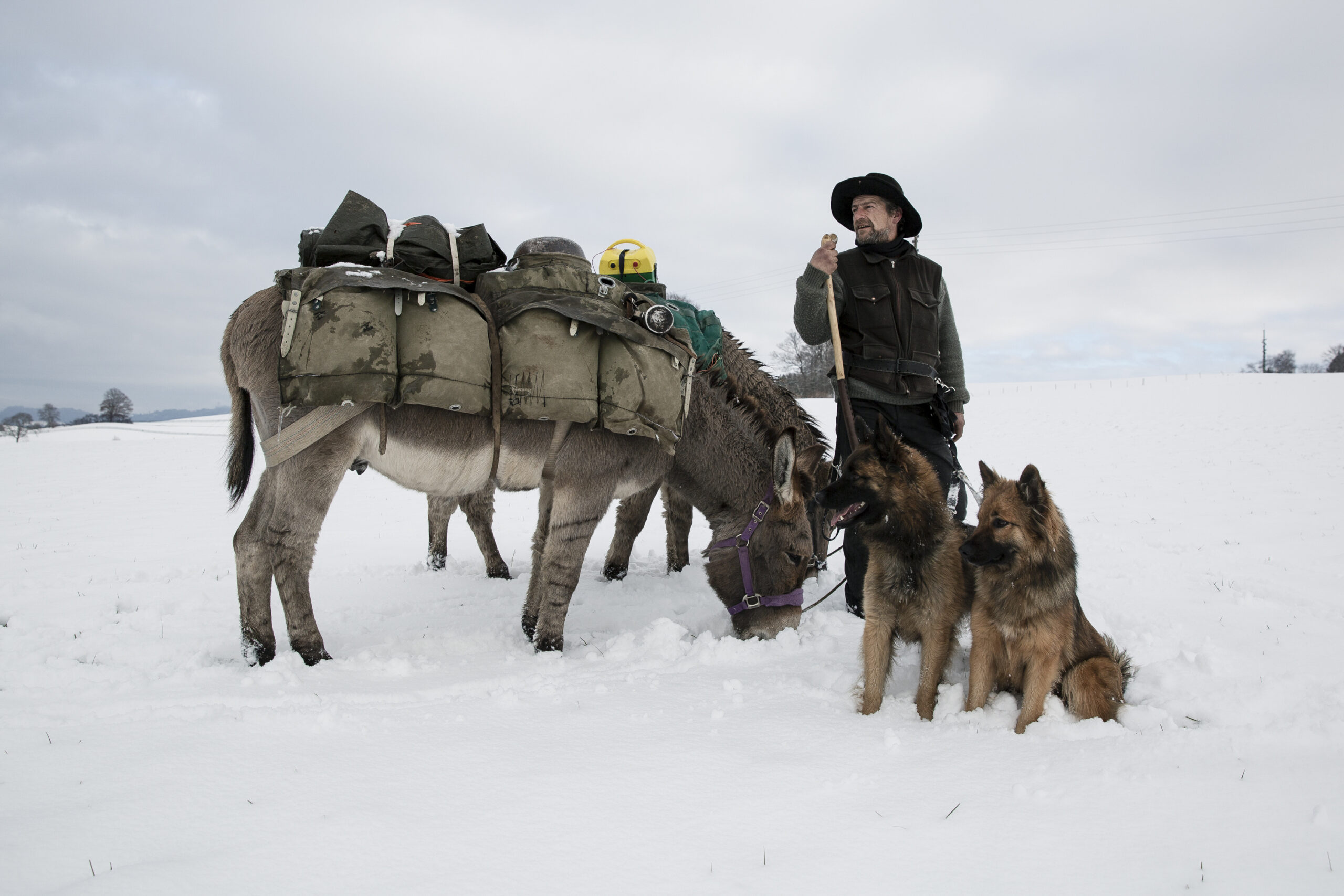 BEsonders Schafhirt Jens Schöndorfer