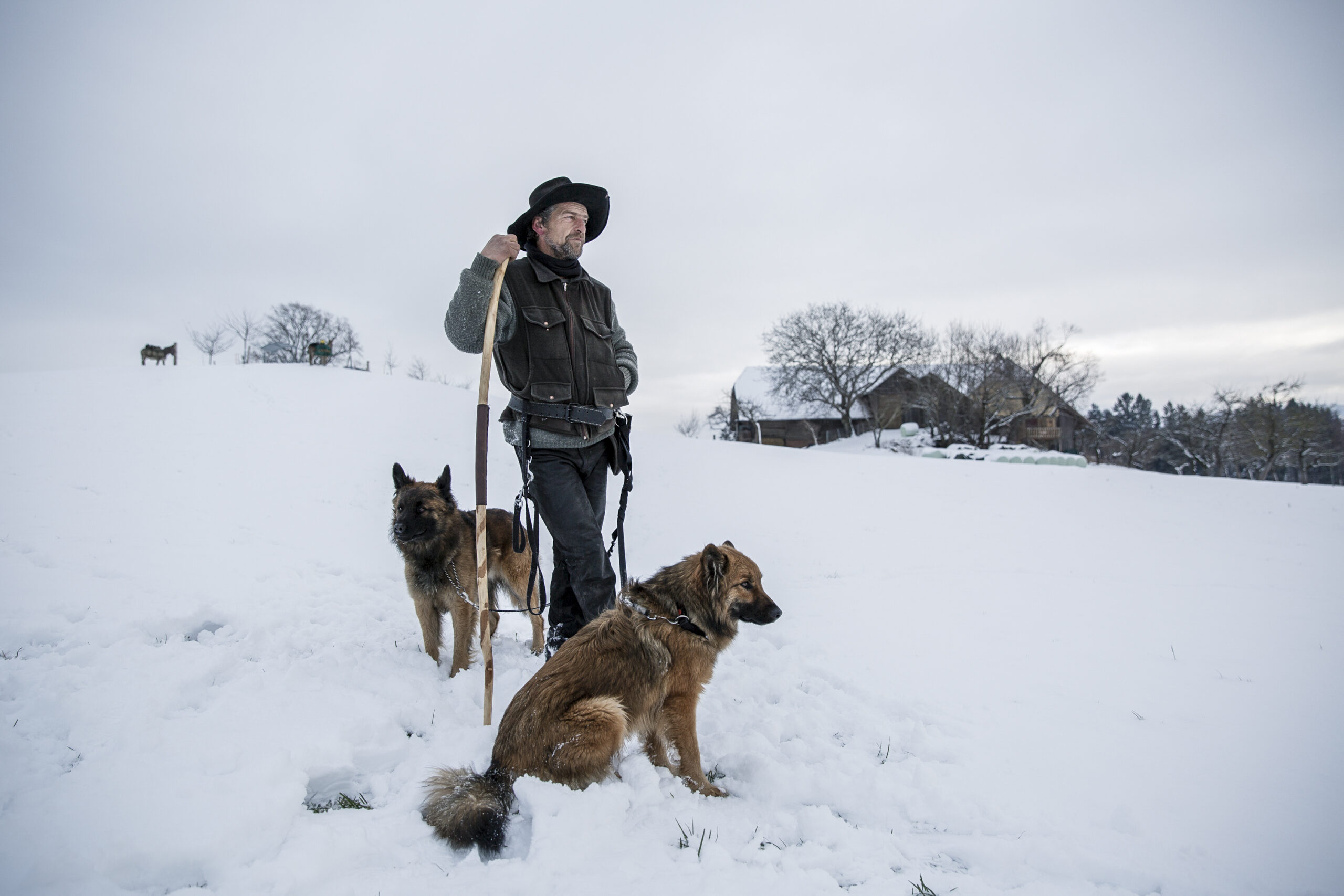 BEsonders Schafhirt Jens Schöndorfer