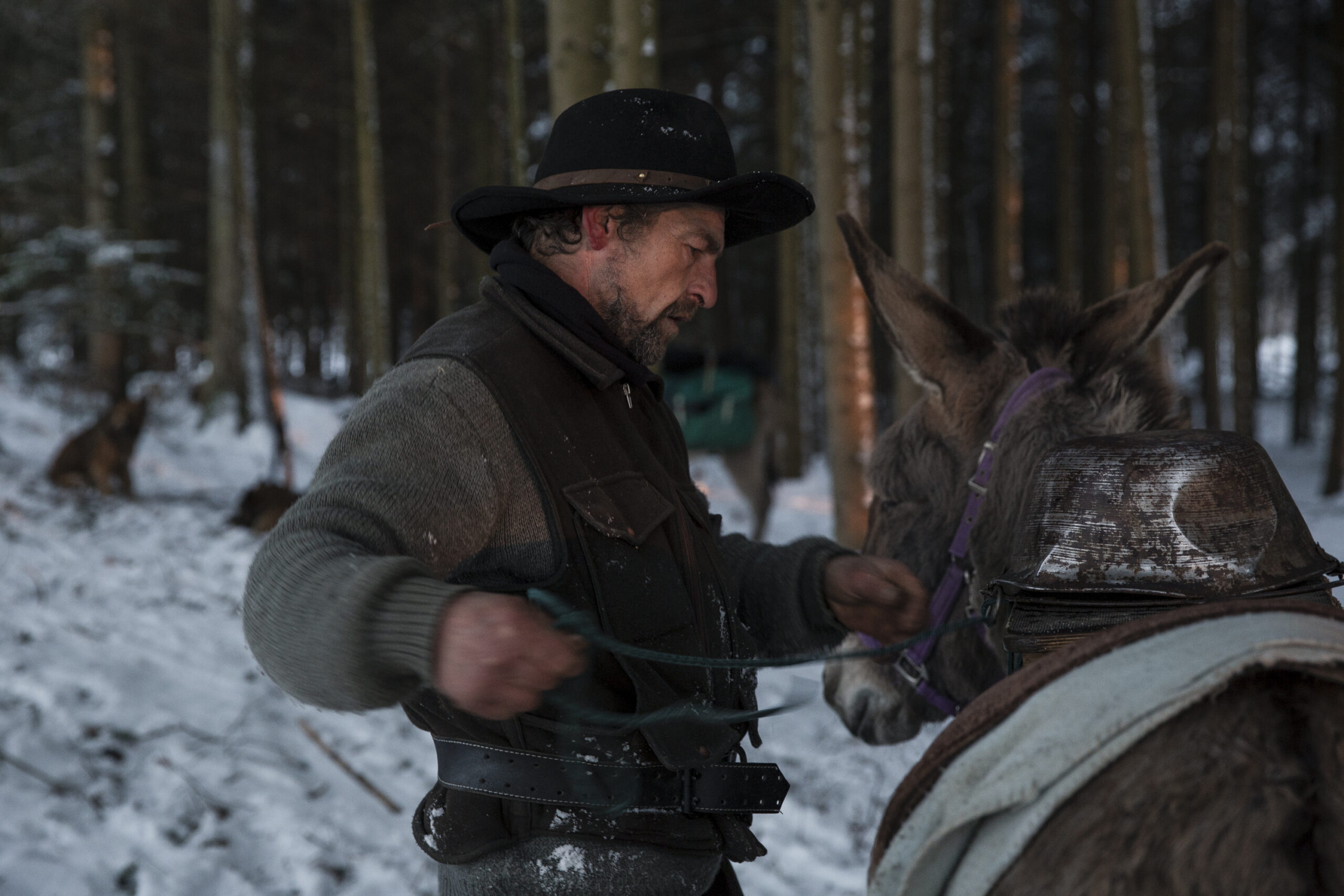BEsonders Schafhirt Jens Schöndorfer