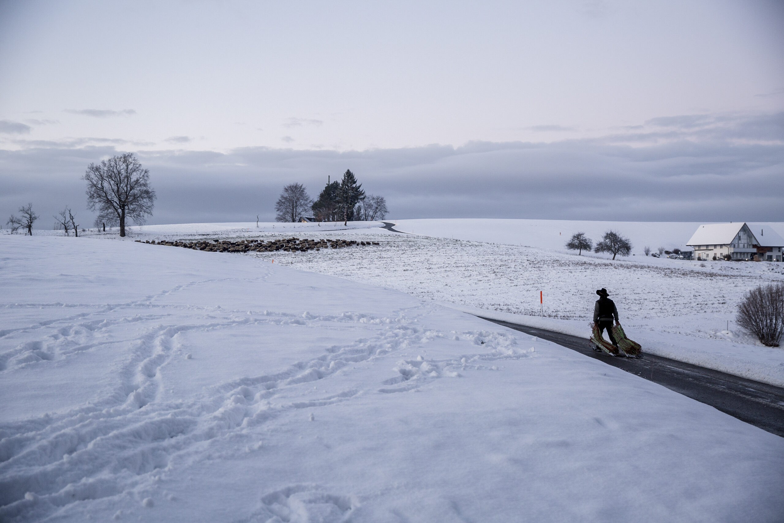 BEsonders Schafhirt Jens Schöndorfer